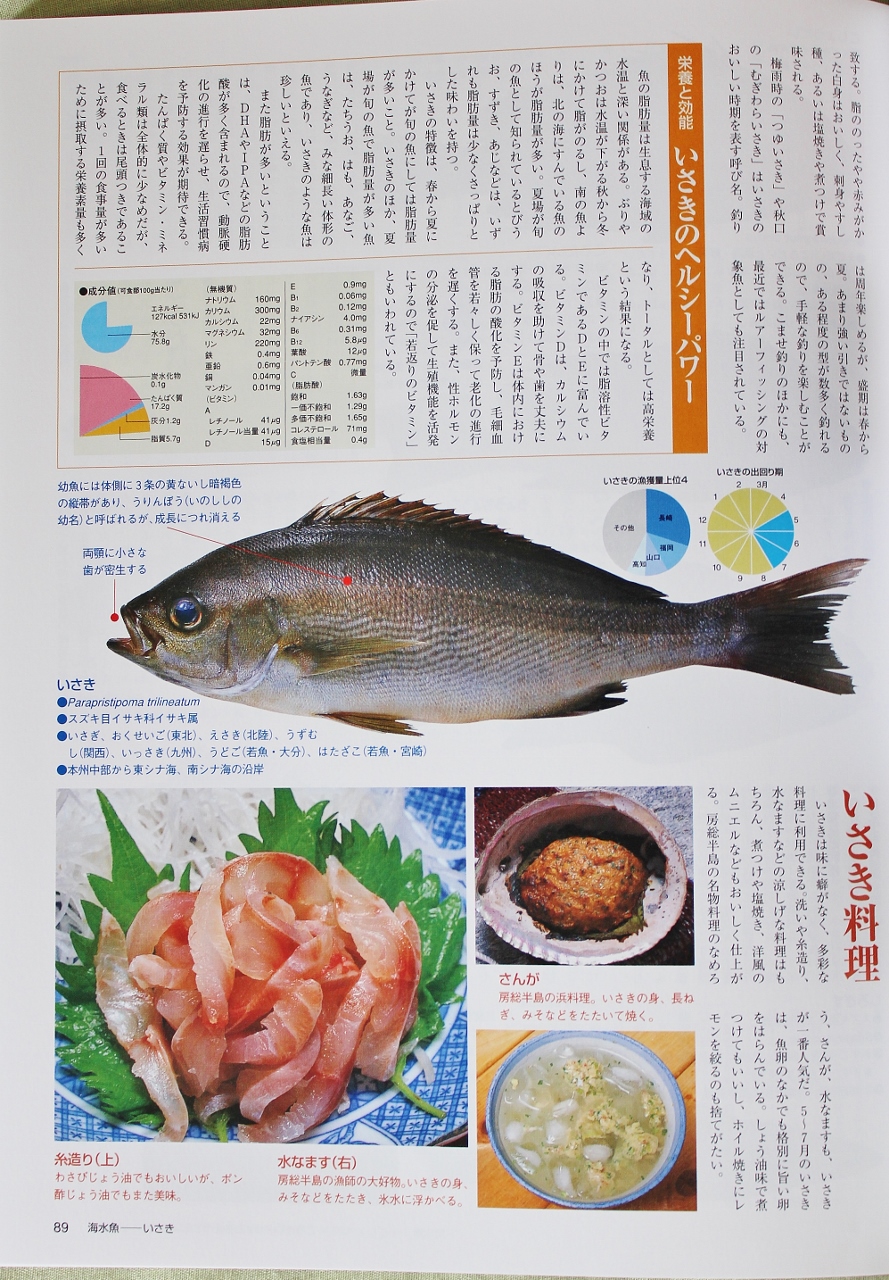 Seafood 4