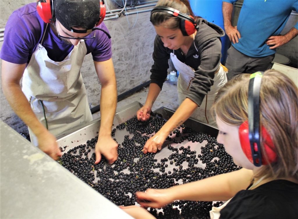 Weinreportage: Domaine Montirius an der Südrhône (Teil 1) - Chez