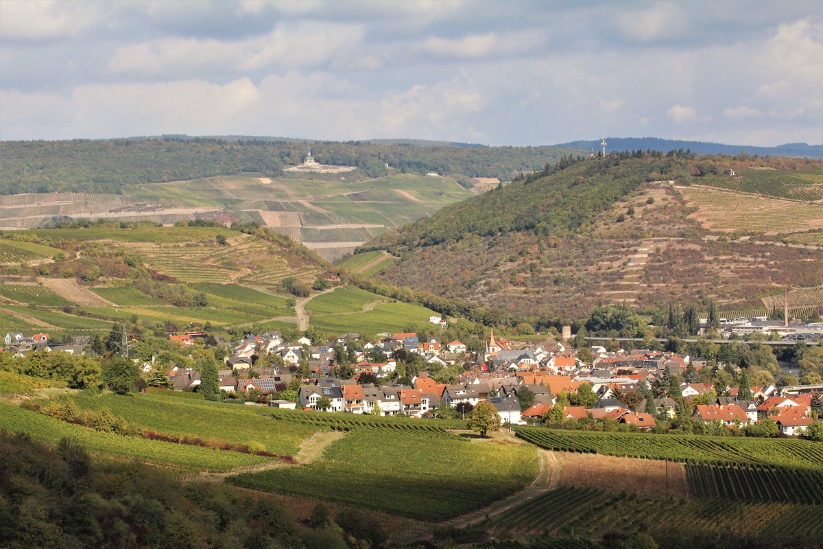 Weinreise Nahe Rheinhessen Rheingau Dreiländereck