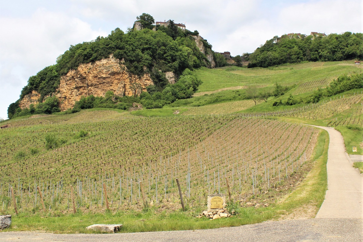 Wein Jura Château-Chalon