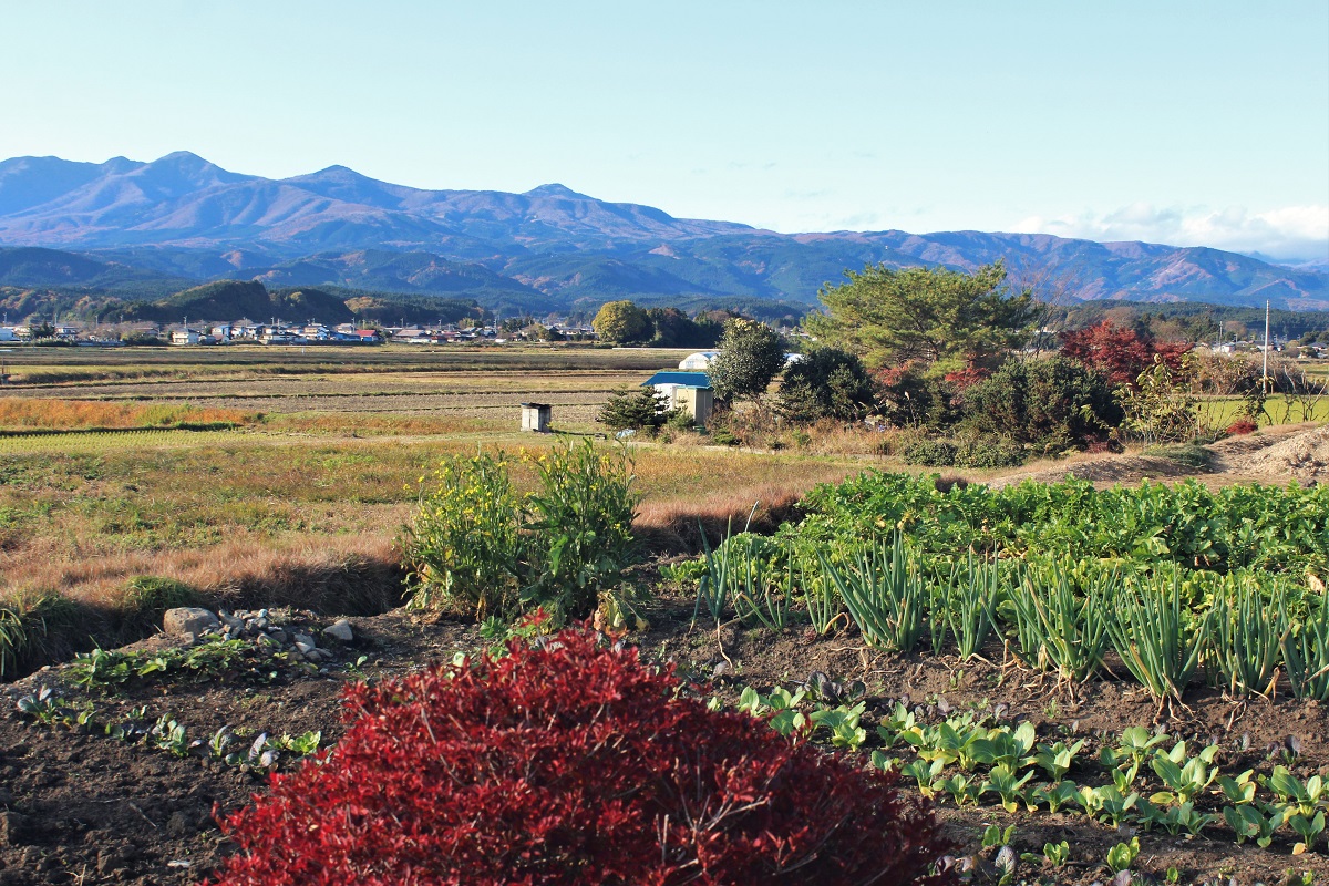 Landschaft Tochigi Japan