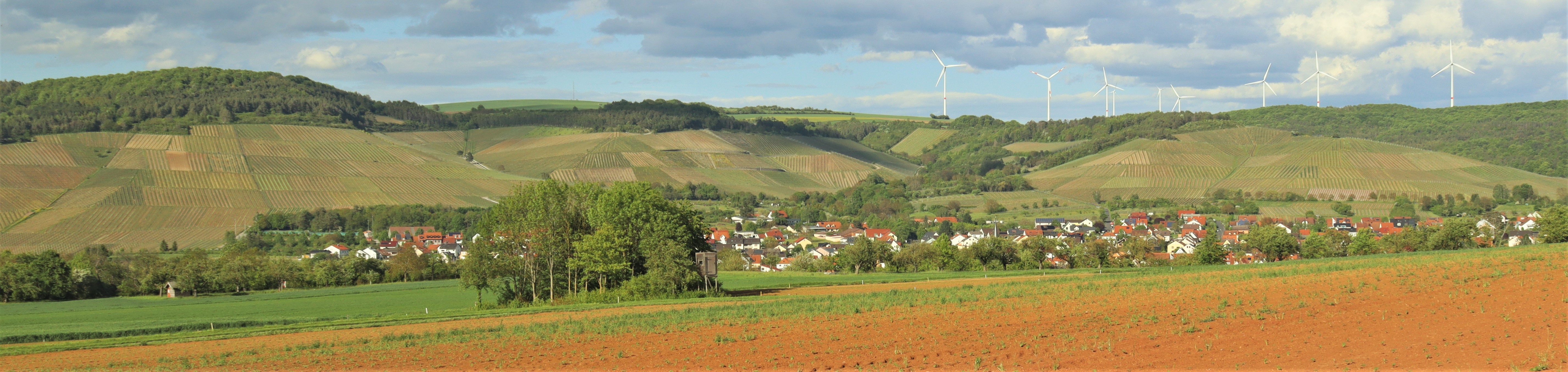 Thüngersheim Johannisberg Panorama
