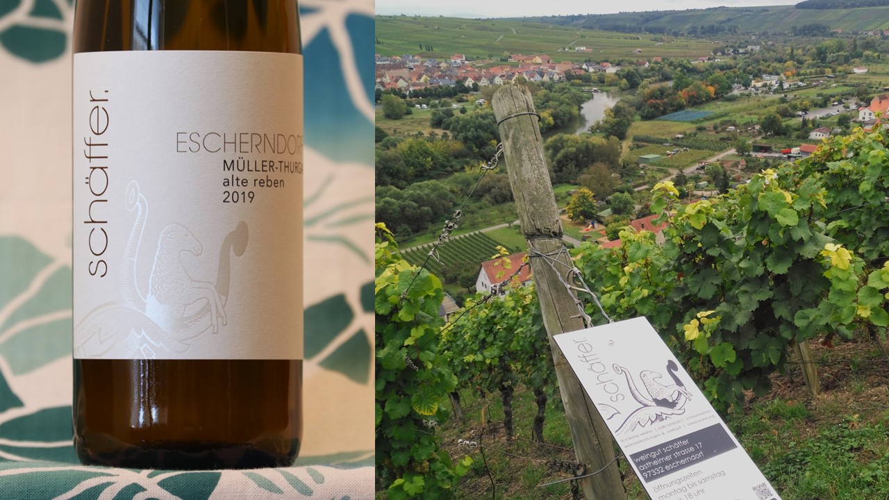 Müller-Thurgau Escherndorf Schäffer