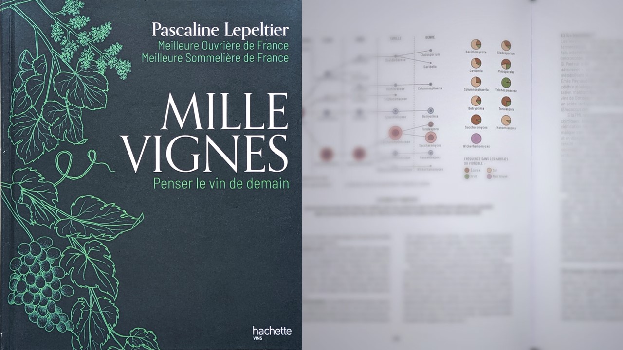 Bücher Lepeltier Mille Vignes