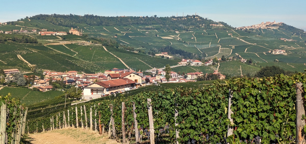 Ausblick Barolo