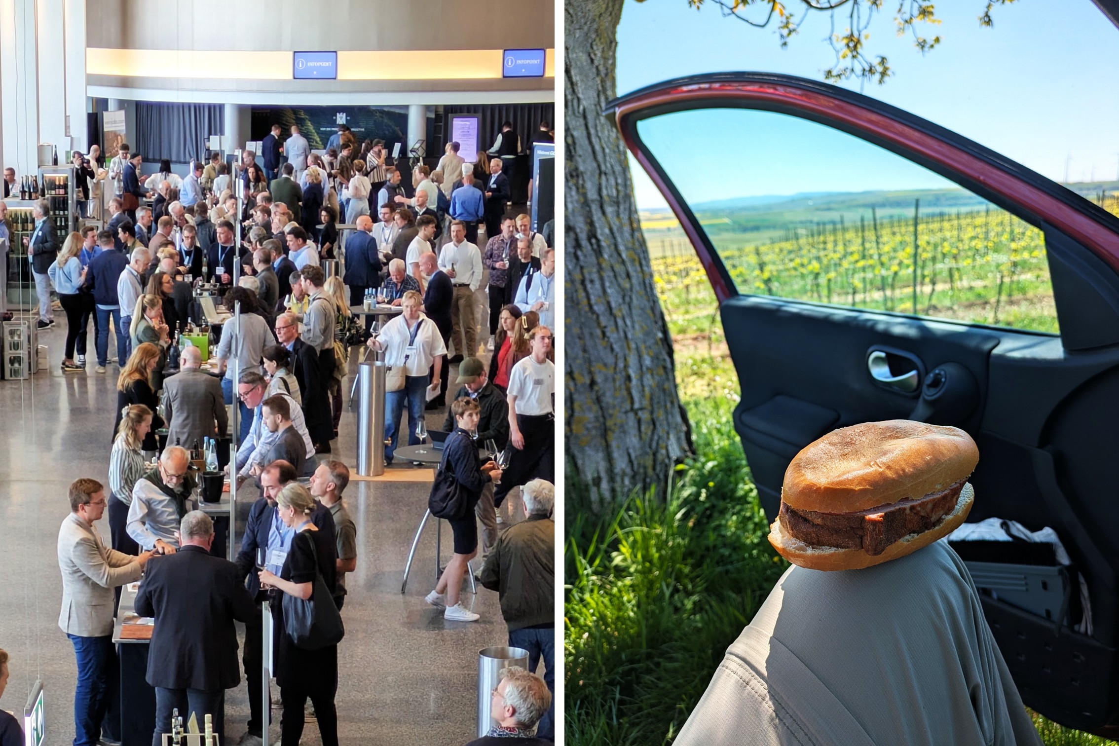 Messe unterwegs Rheinhessen Wein Tagebuch