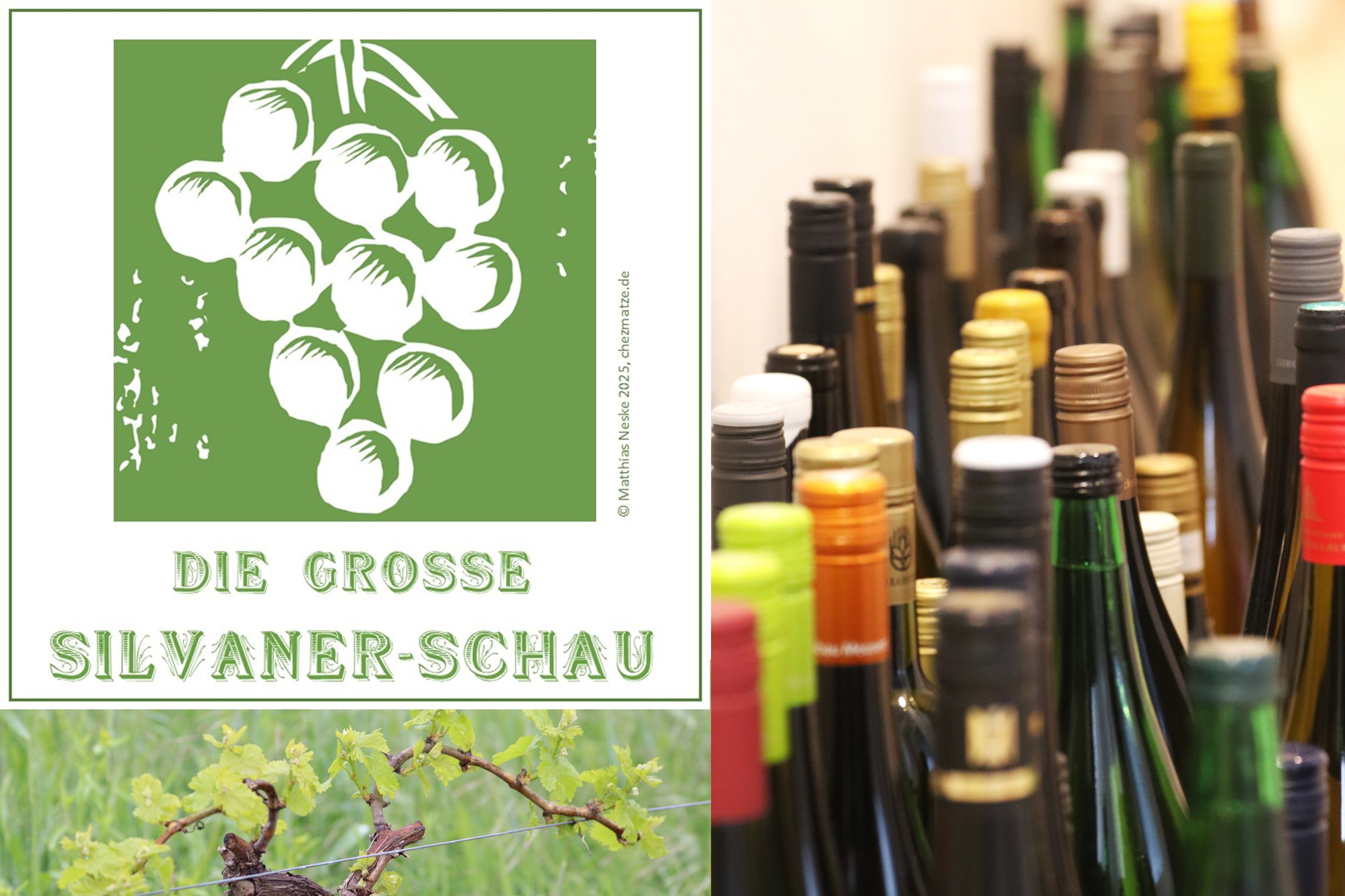 Titel Silvaner preisWERT