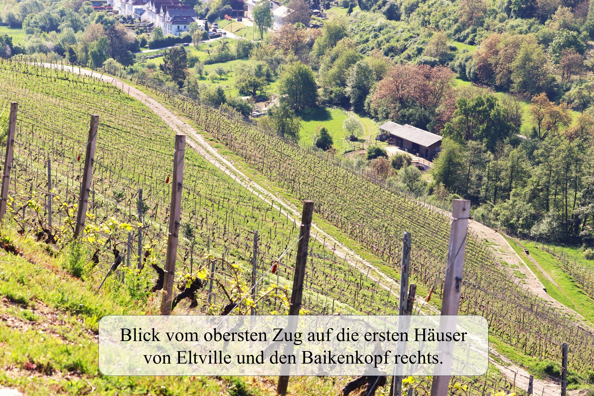Baikenkopf