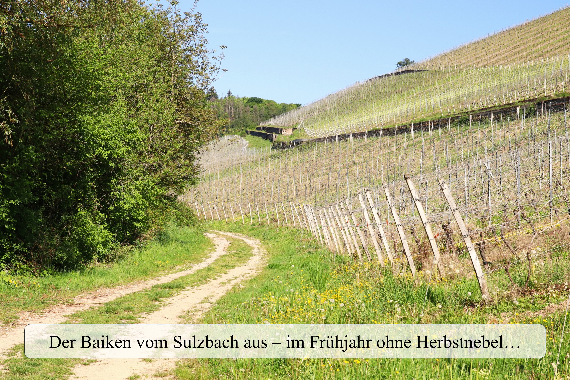 Sulzbachtal