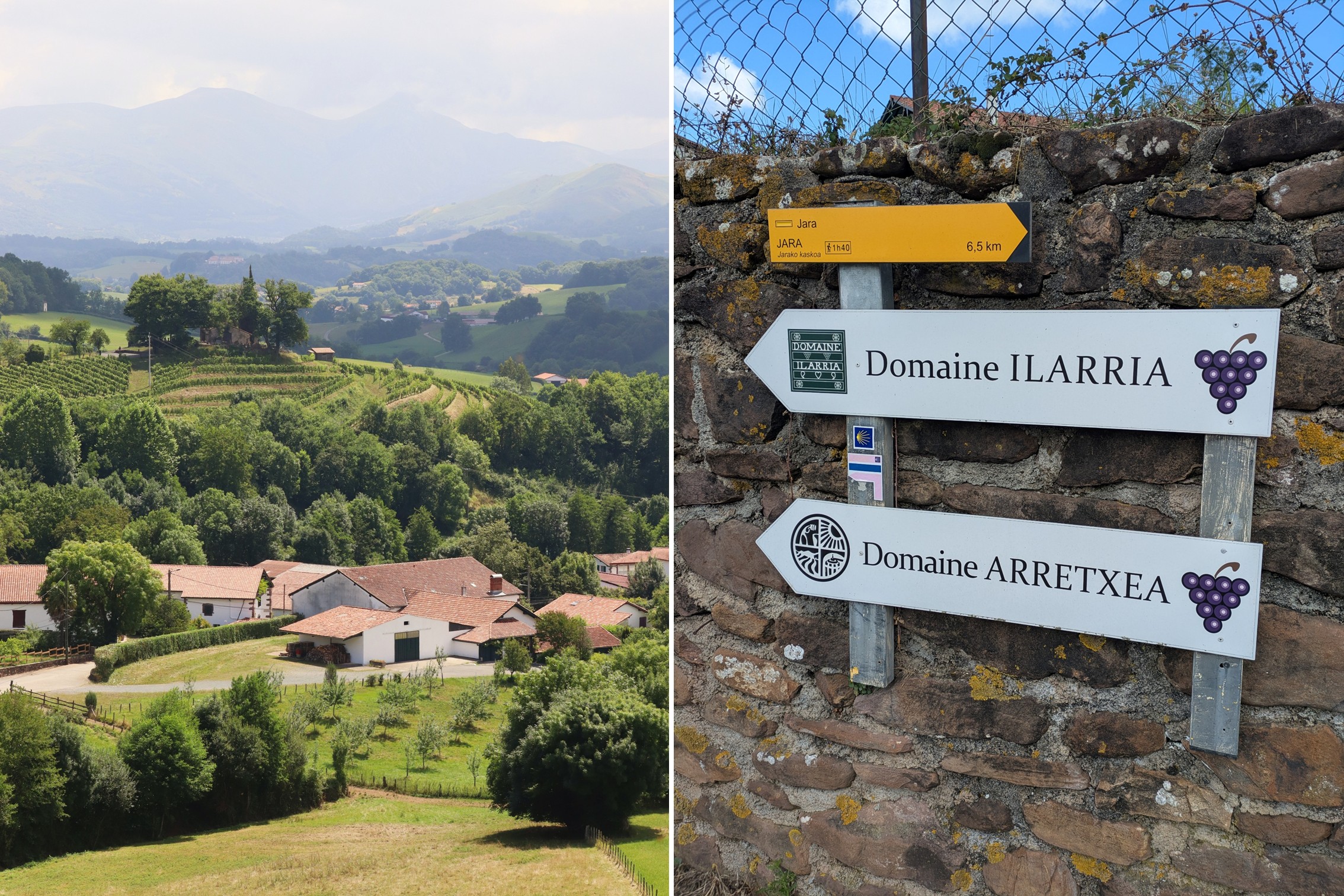 Ilarria Arretxea Wein