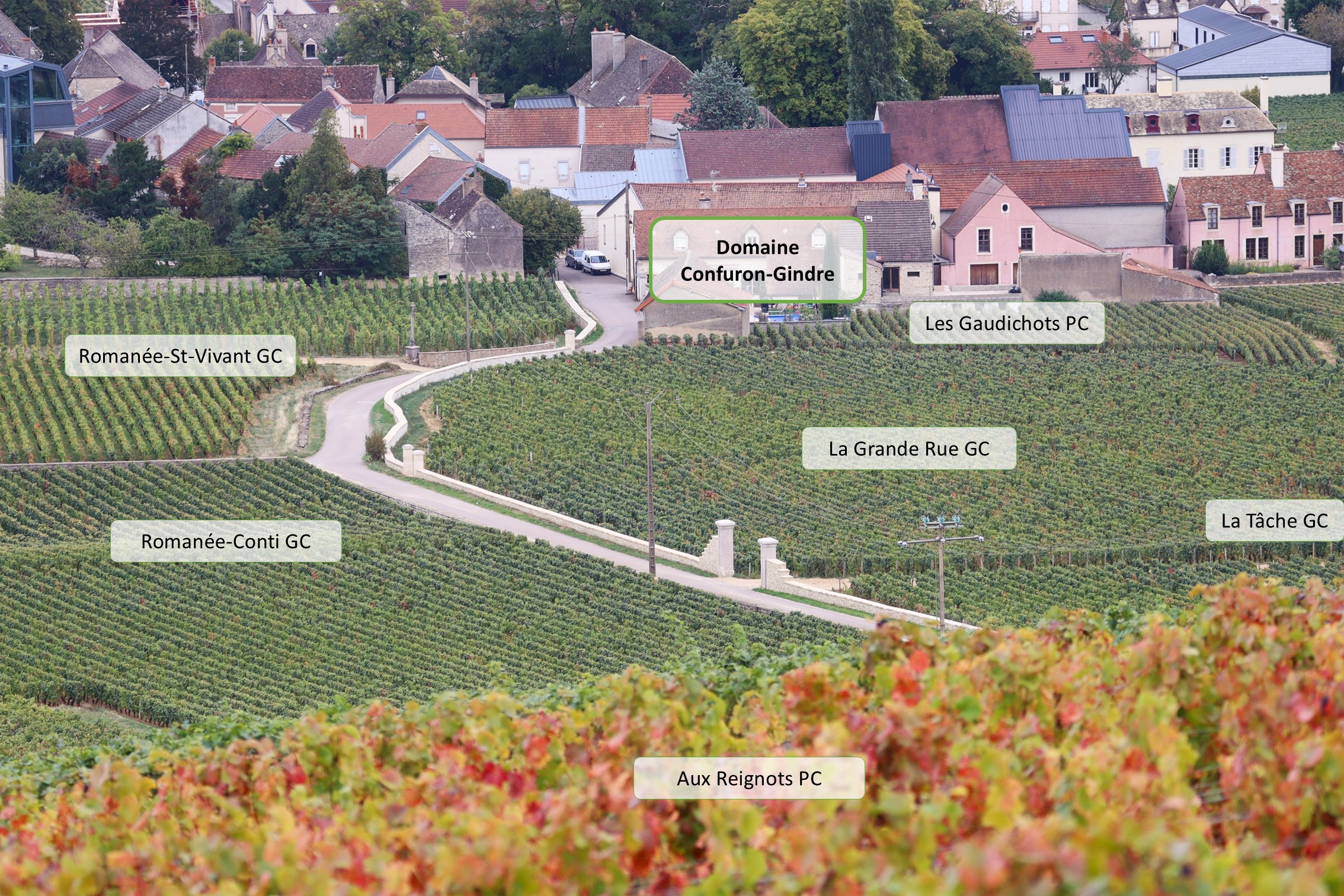 Domaine Confuron-Gindre