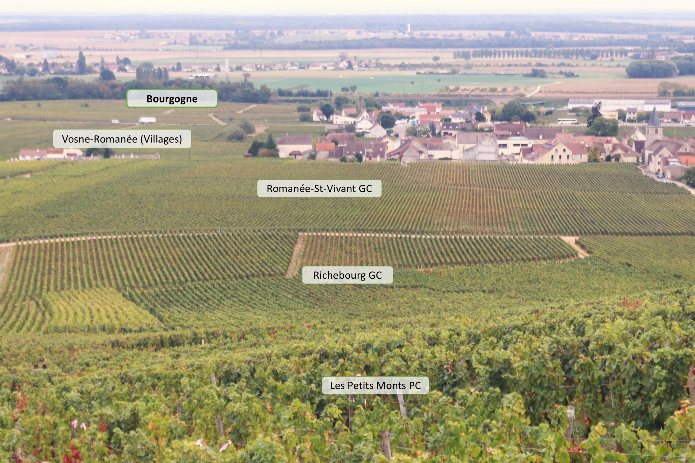 Burgund Vosne-Romanée Lagen