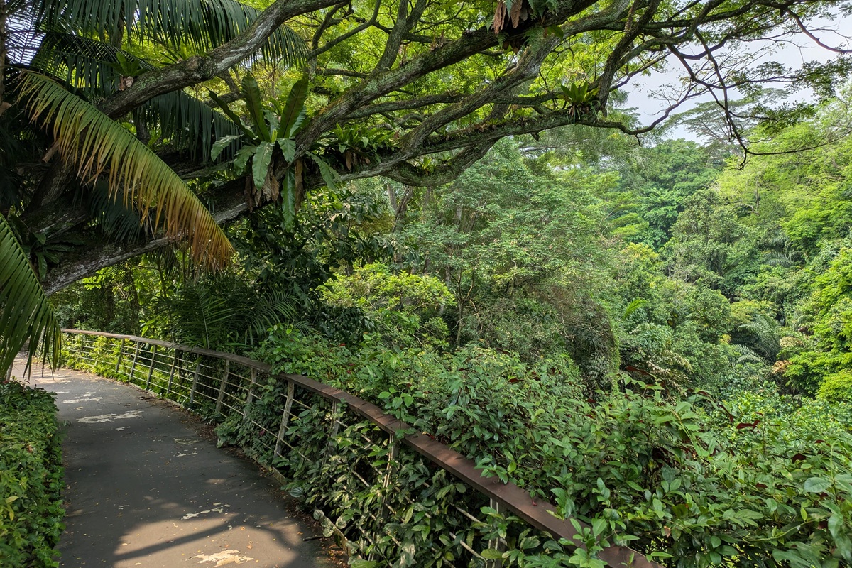 Singapur Tropen