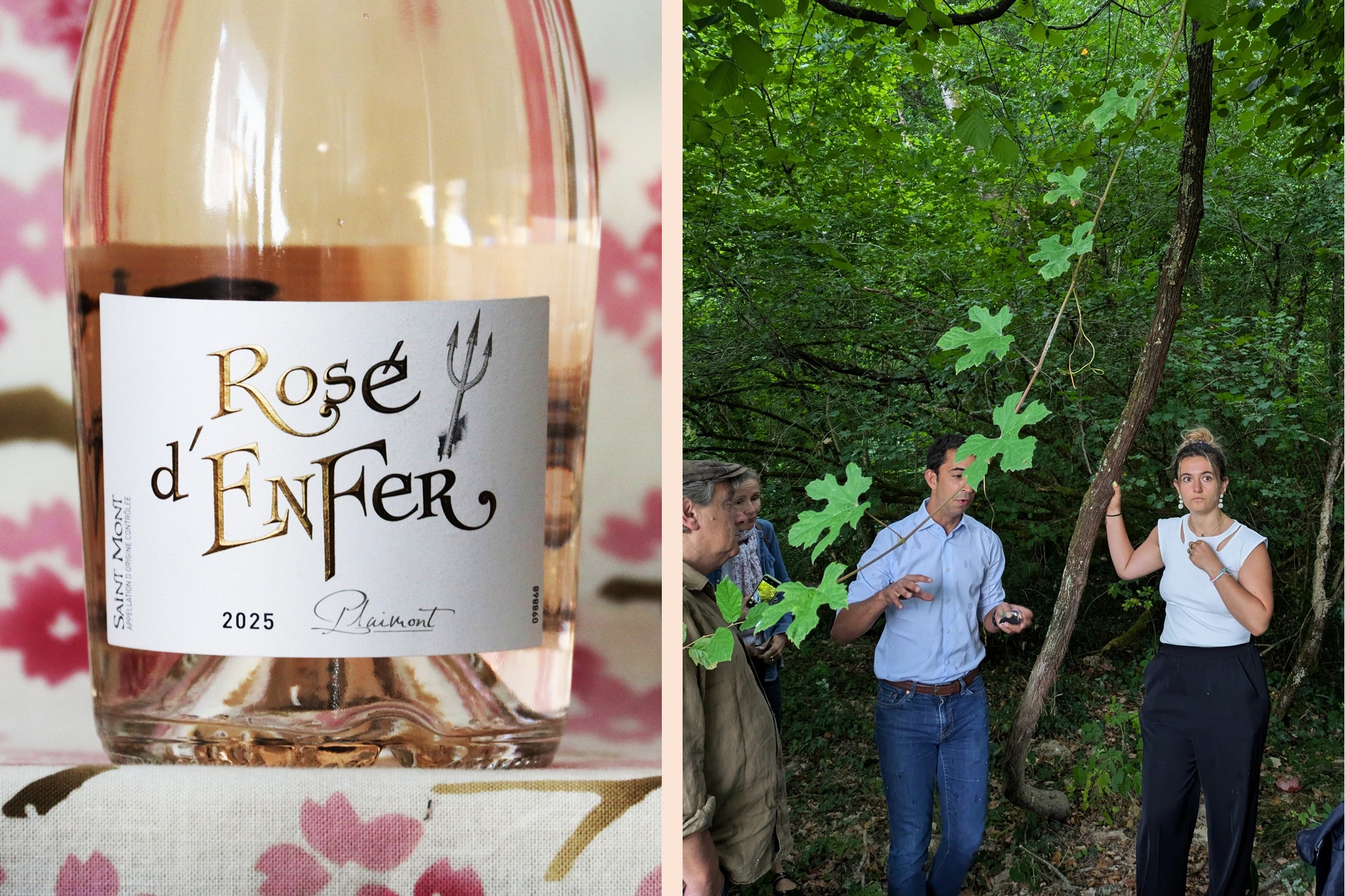 Rosé d'Enfer Plaimont