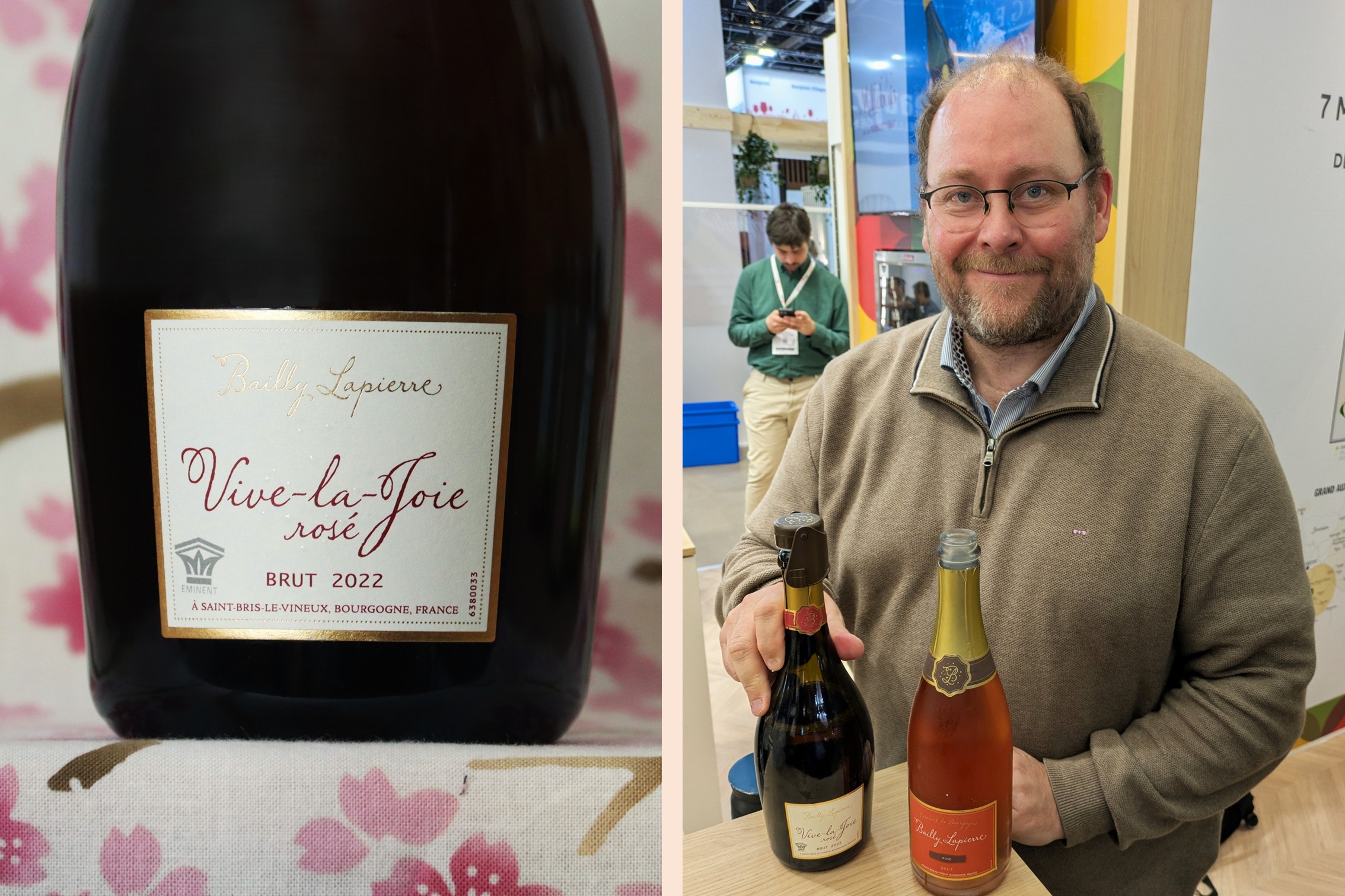 Rosé Brut Bailly-Lapierre