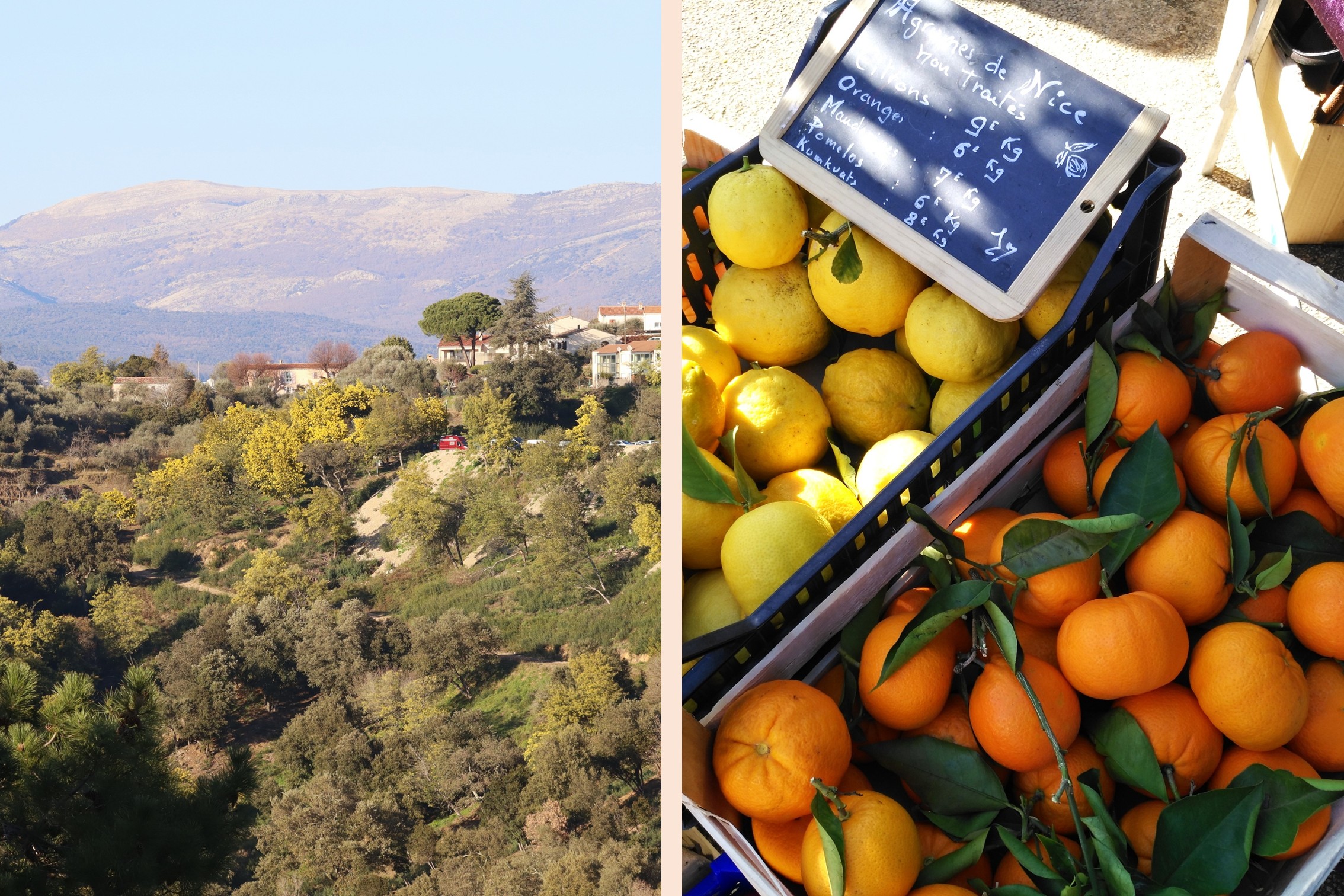 Var Provence Winter
