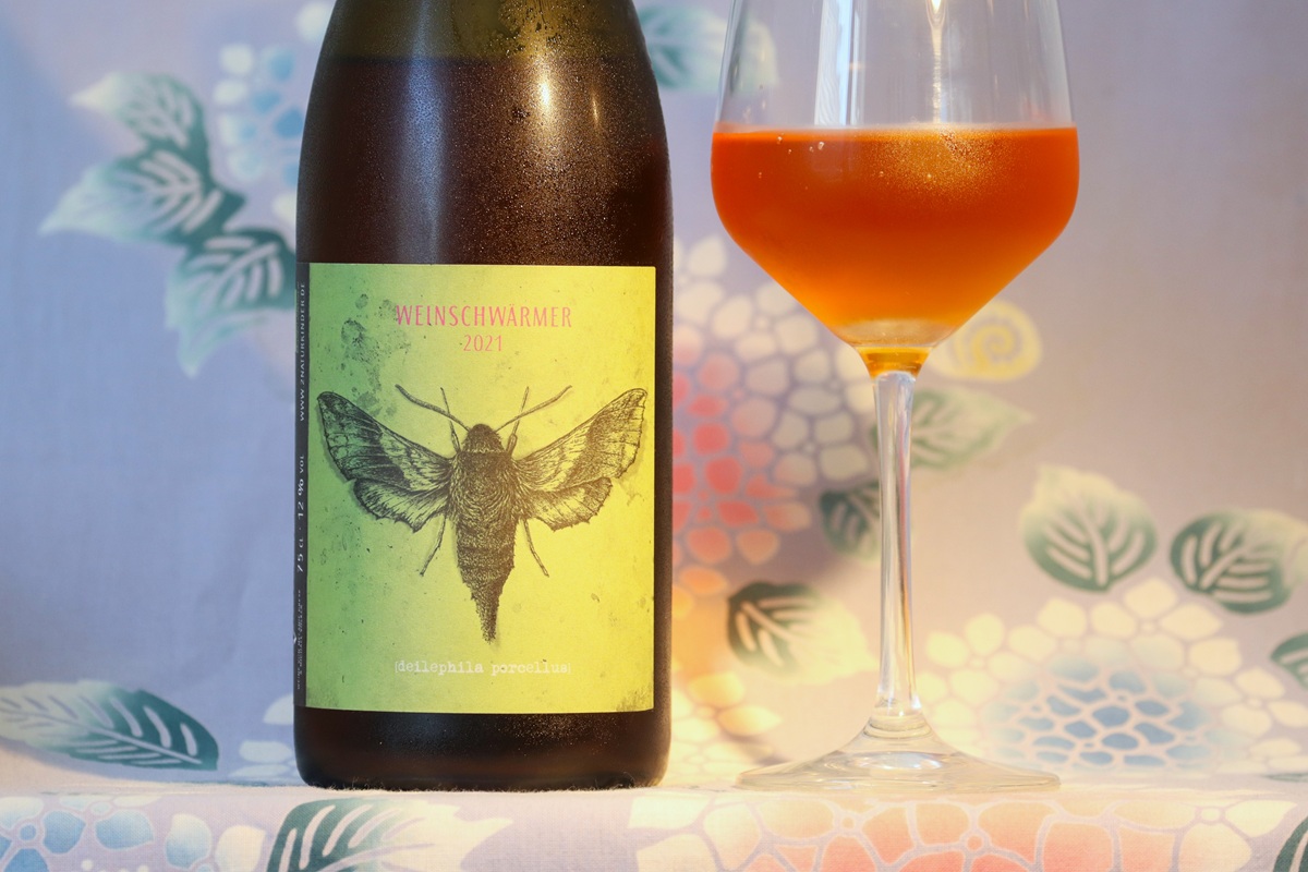 Weinschwärmer 2Naturkinder