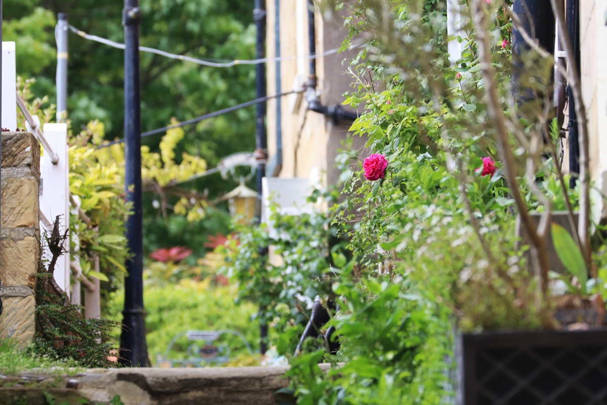 English Garden