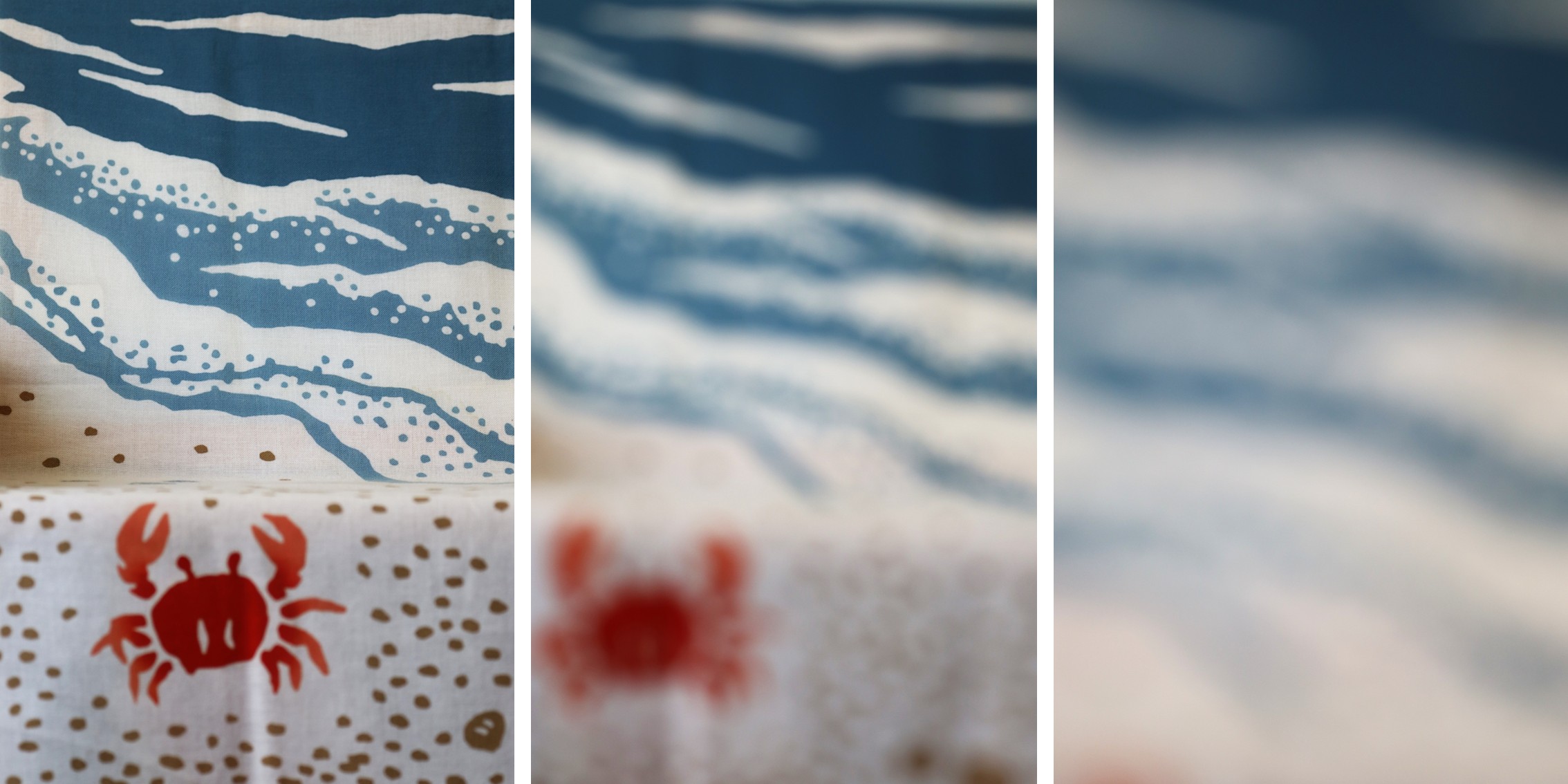 Das Bild ist dreigeteilt und zeigt ein Tenugui mit Krabbe im Vordergrund und Meeresstrand im Hintergrund. Von links nach rechts wird das Bild immer unschärfer.