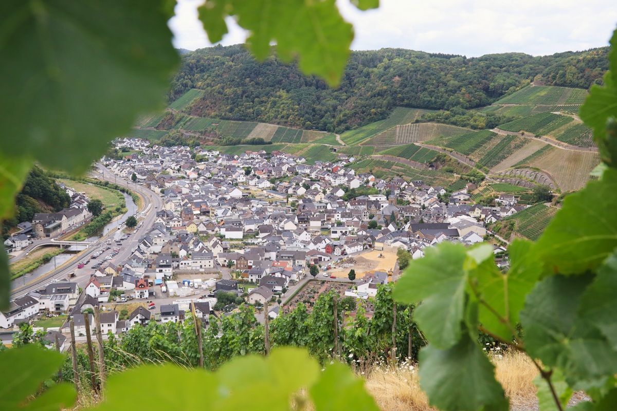 Ahr Blick auf Dernau
