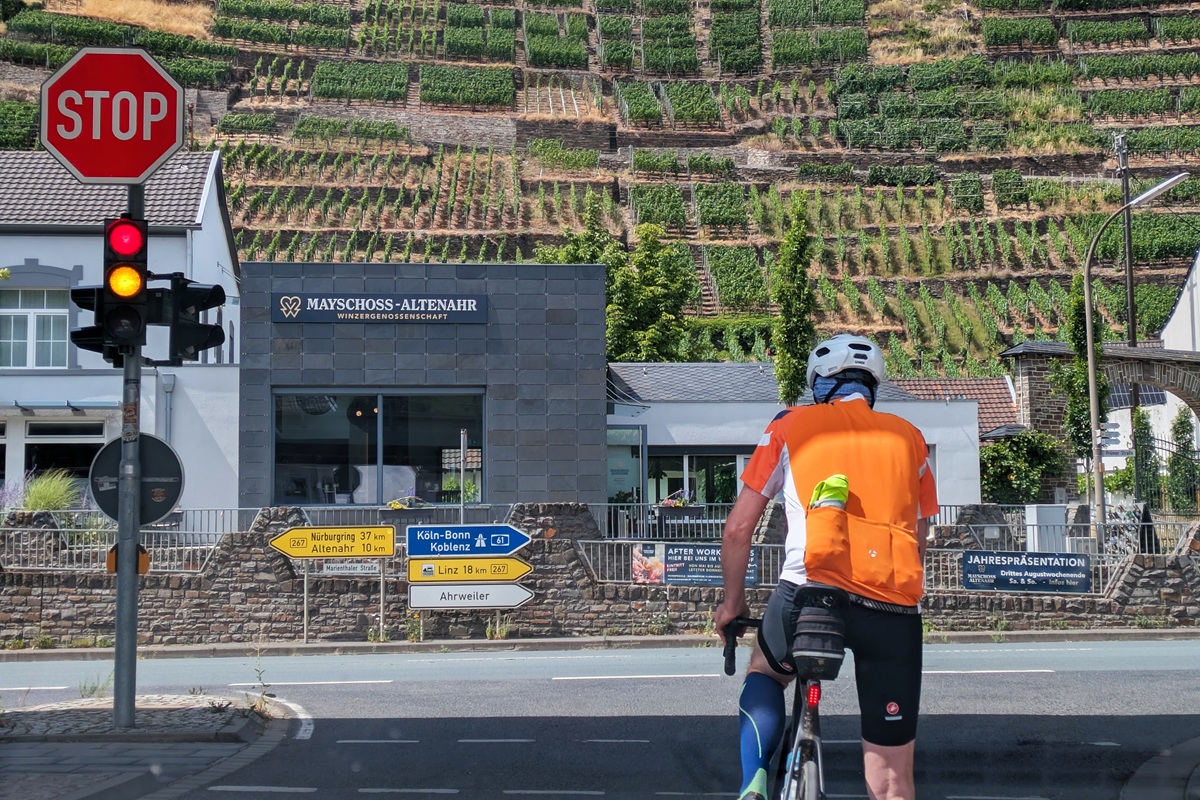 Ahrtal Tourismus Radfahrer Rotweinwanderweg