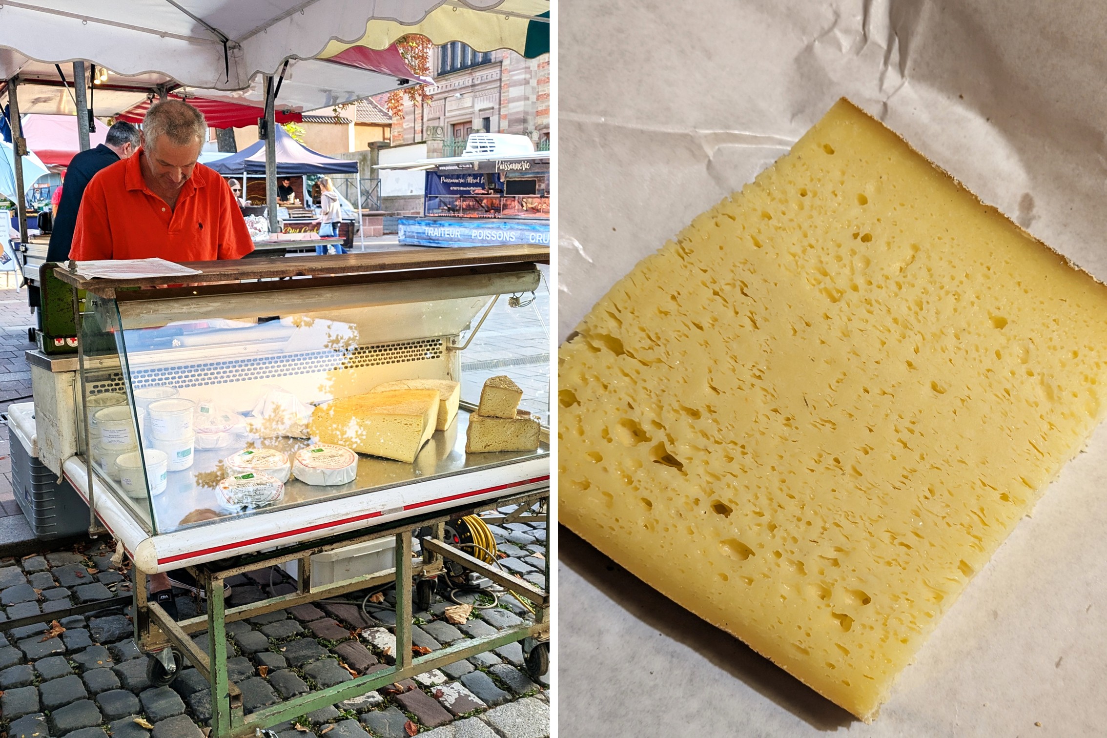 Elsass Sélestat Markt Käsestand